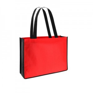 Bolsa Ecologica Bicolor