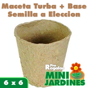Regalo corporativo Minijardin Ecologico Turba Pequeño