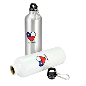 Regalo corporativo Botellas Vamos Chile