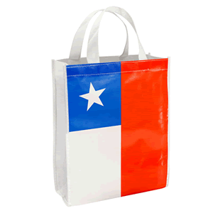 Bolsa Ecologica Bandera