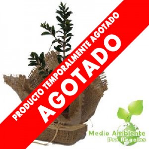 Arbusto Publicitario en Arpillera