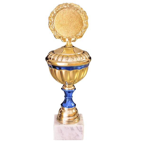Regalo corporativo Copa con detalles en azul