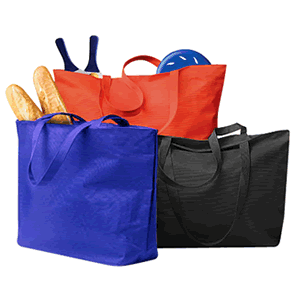 Bolsa de Paseo