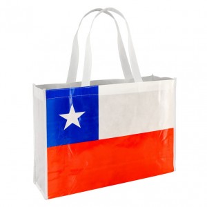 Bolsa Ecologica Bandera Horizon