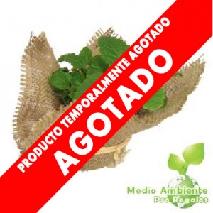 Hierba Publicitaria en Arpillera